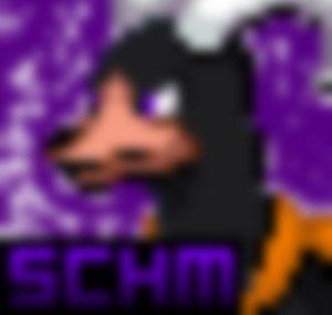 schm2000