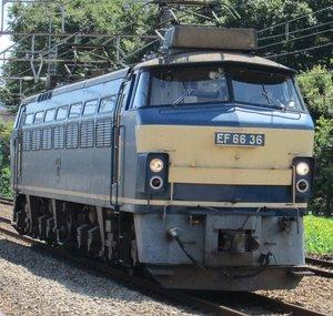 Sobu209500