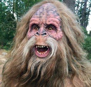 Squatchy Comics