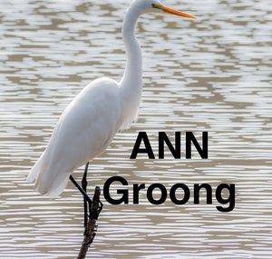 Armenian News Network - Groong Podcast