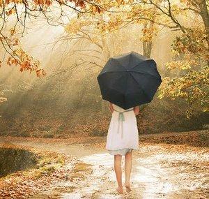 Autumn Leaves
