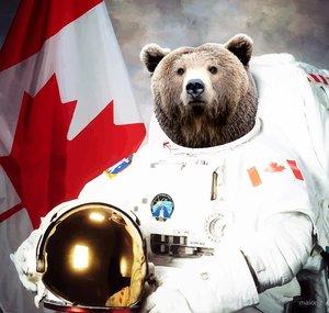 Bear Clooney Watches