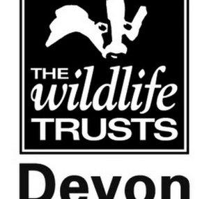 Devon WildlifeTrust