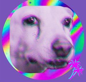Dogposting Deluxe
