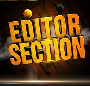 EditorSection