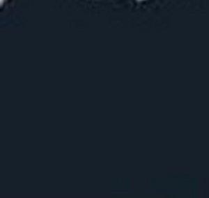 Erpic