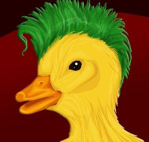 Punk Duck