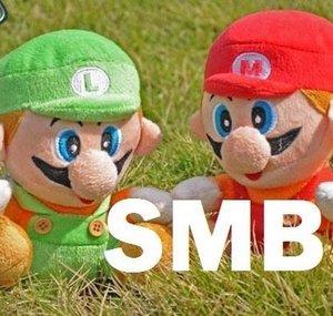 SuperMarioBunch