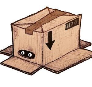 The Cardboard Box Item