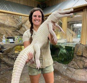 The Reptile Zoo