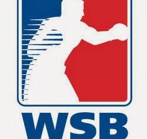 World Series of Boxing