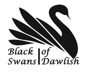Black Swans of Dawlish
