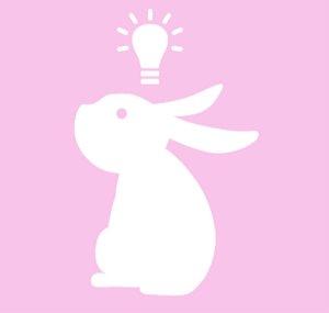 bunny / rabbit experience