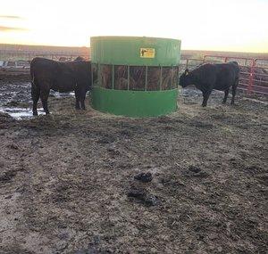 Dodge Brothers Farm and Ranch