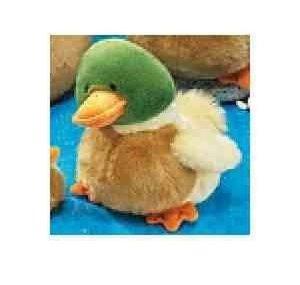 DUCKY365521