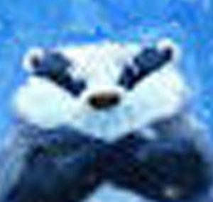 Grumpy .Badger
