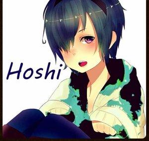 hoshi0853tube