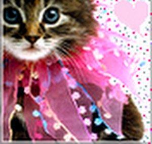 MySweetCherryBlossom
