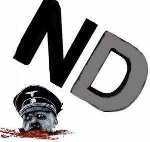 NDirish1083