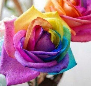 Vintage Rose