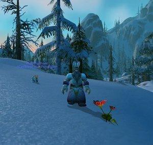 Zwergpaladin88