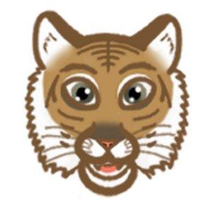 Bonsu The Tiger