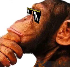 El Mono Darwin