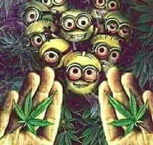 _-IlIlIlIlIlIl manu