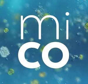 Journey to the Microcosmos
