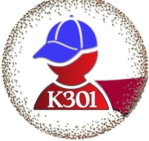 Kanal301
