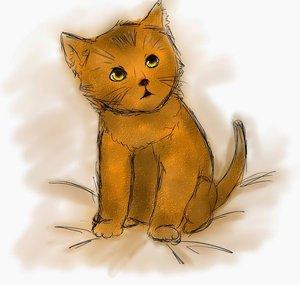 KittenIgnition