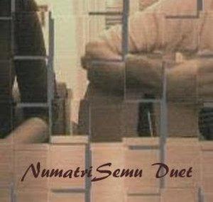 NumatriSemu Duet