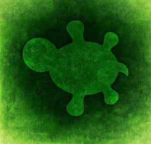 OddLittleTurtle