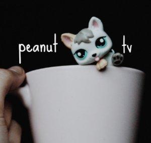 peanut TV