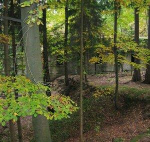 RieseOlbrzym