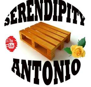 Serendipity Anthony