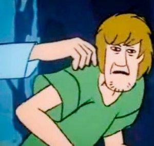 Shaggy Rogers