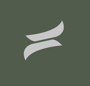 Subflexius