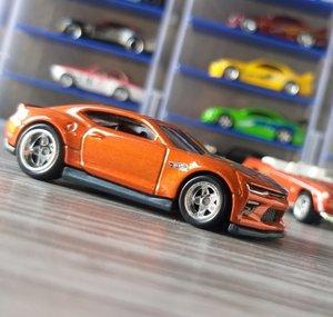 WEDU COLLECTION