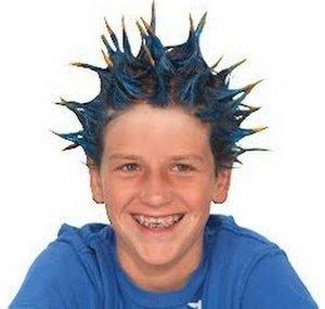zwhairgel