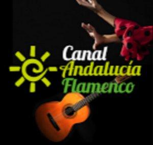Canal Andalucia Flamenco