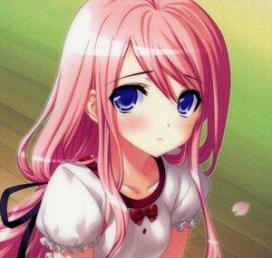ginaharuno sasusaku