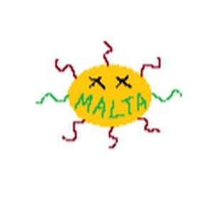 Malta Master