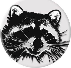 Raccoon TV