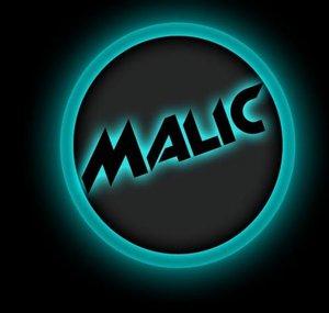 Robin Malic