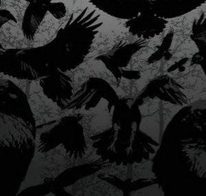 Sentient Raven