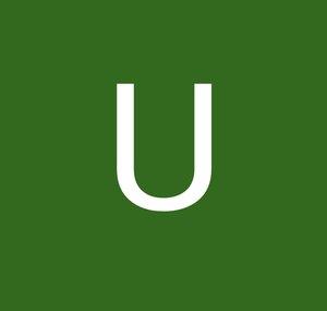 Unsparingword