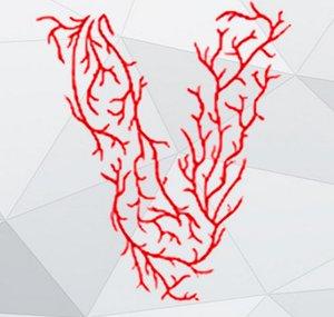 VEIA GEEK