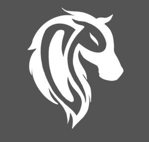 Charcoal Pony Improv