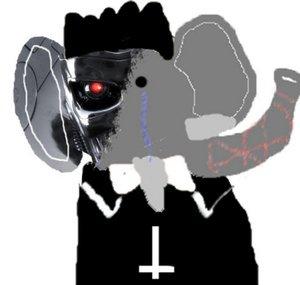 DARK BABOR 